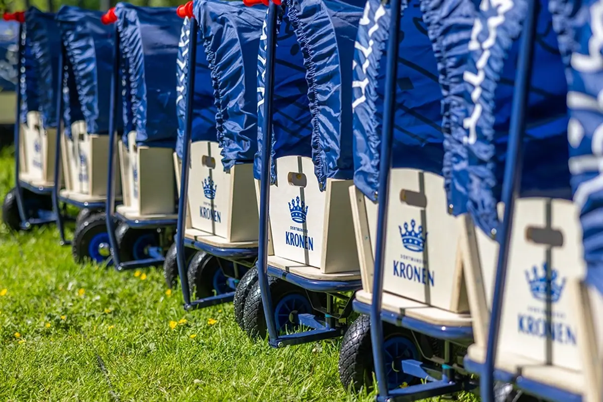 Mehrere blaue und weiße Bollerwagen stehen nebeneinander auf einer Wiese.
